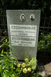 Степаницкий Яков Моисеевич, Москва, Востряковское кладбище